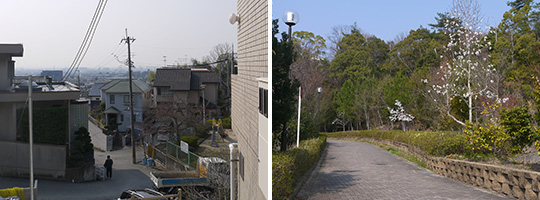 宝塚市中筋山手3丁目。南向き緑豊かな高台、眺望と日当たり良好の広い場所を見つけました。
