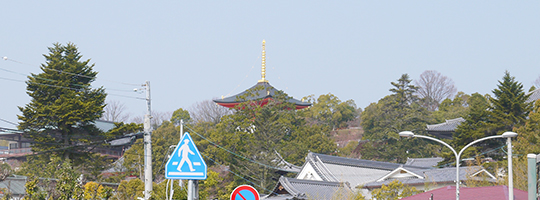 「中山寺暮らしのすすめ」。窓の景観を美しく見せる シンプルデザインの白い家です。