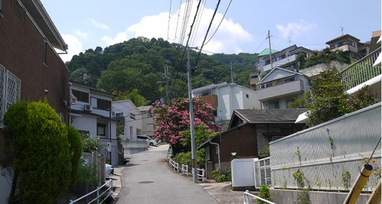 角地の庭付き新築分譲一戸建て。緑の澄んだ空気、風通し、日当りも良好な立地環境。恵まれた環境を活かすことだけ考えた、シンプルベーシックな家。