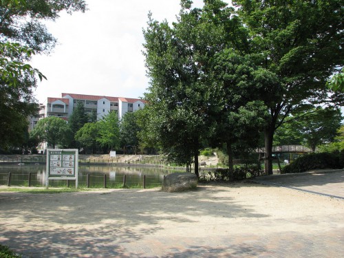 樋之池公園