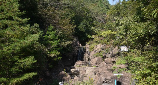 西宮市北山緑化植物園へ初めてハイキングしてきました！