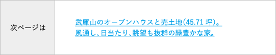 次ページ