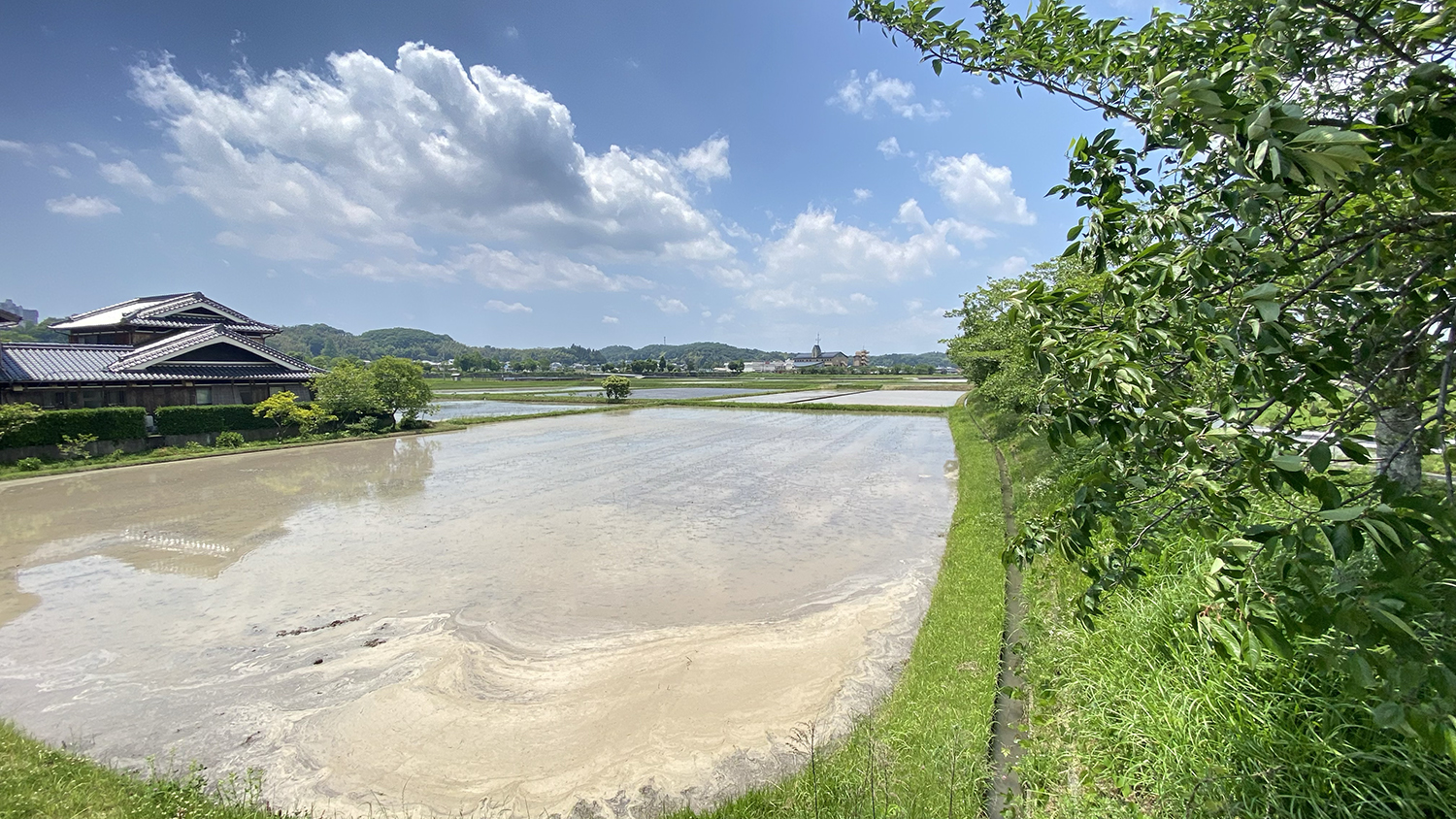 武庫川の南エリアは田園と丘陵地が広がる緑豊かな住宅街エリア
